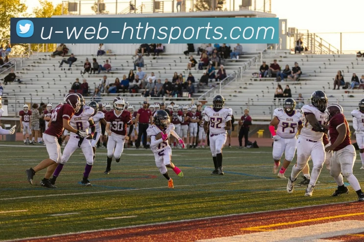 hth体育服务体系